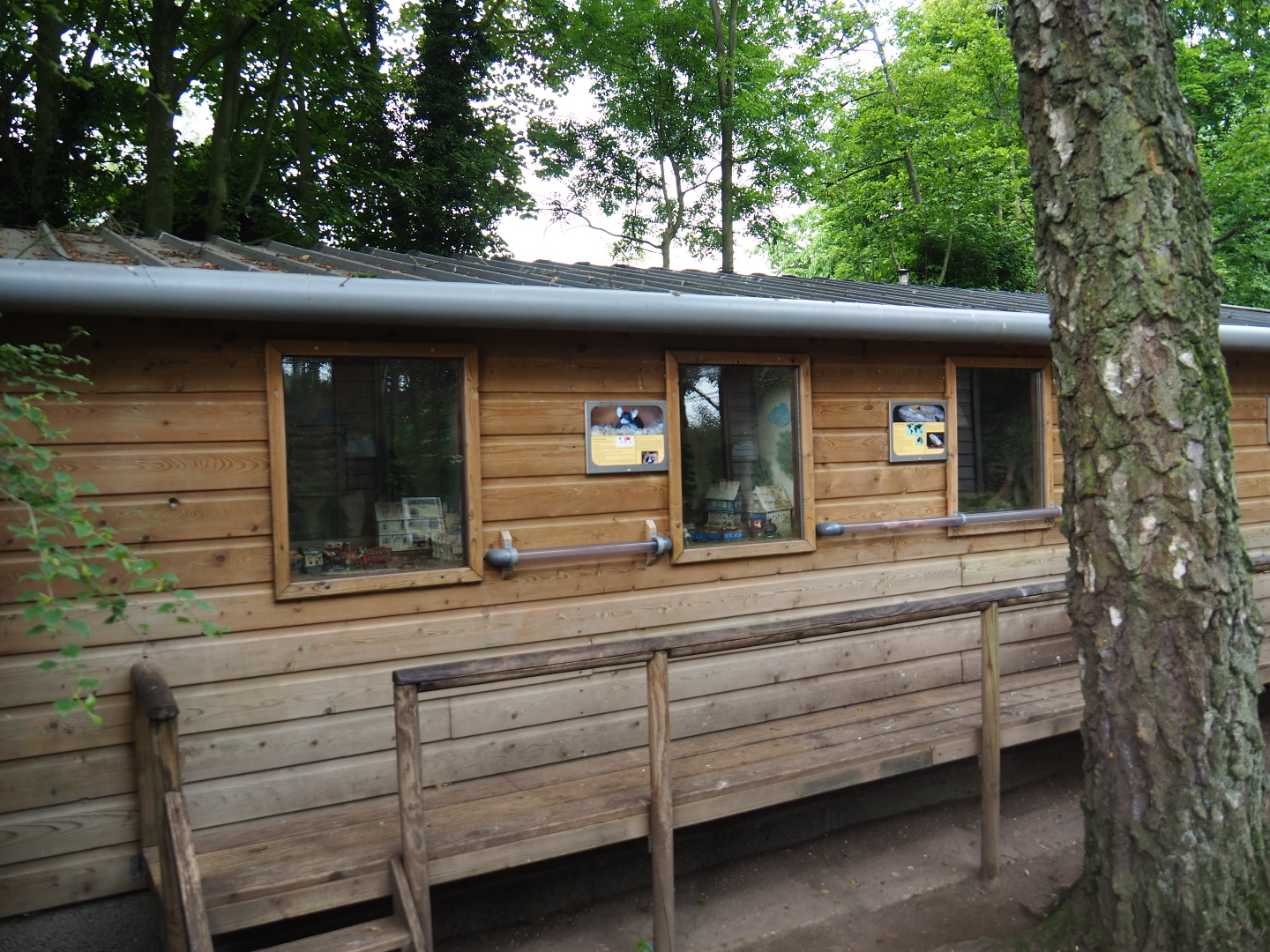 Terrarium house, 2019-05-25