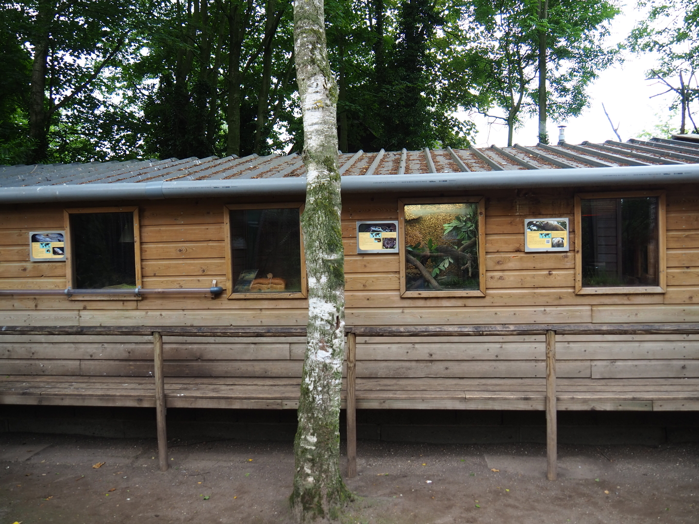 Terrarium house, 2019-05-25