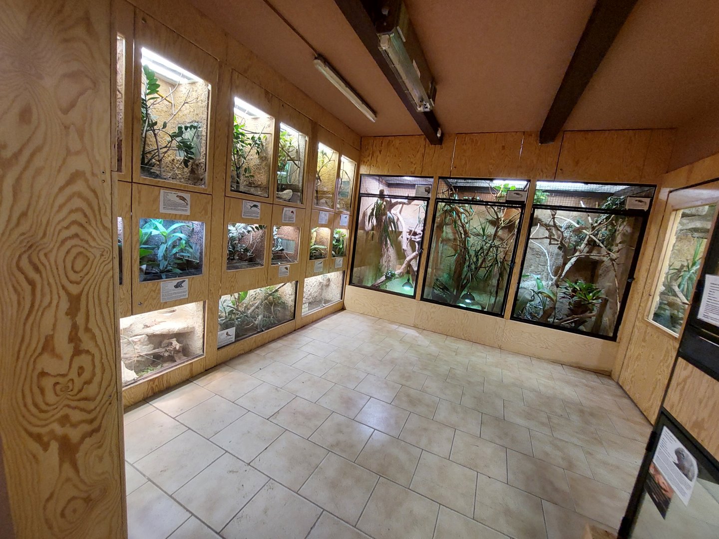 Terrarium house - main room general look