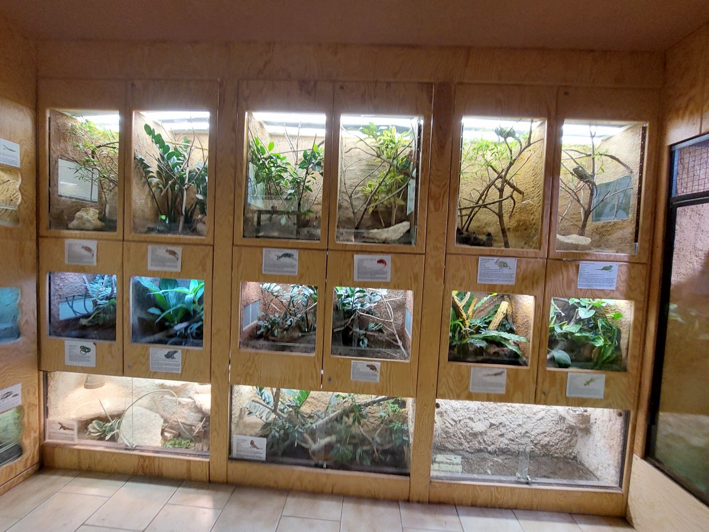 Terrarium house - terrarium wall #1