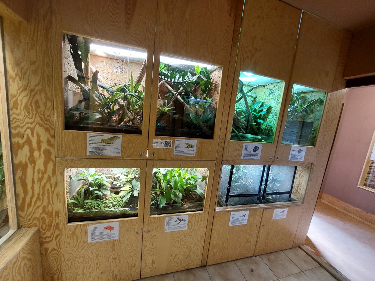 Terrarium house - terrarium wall #2