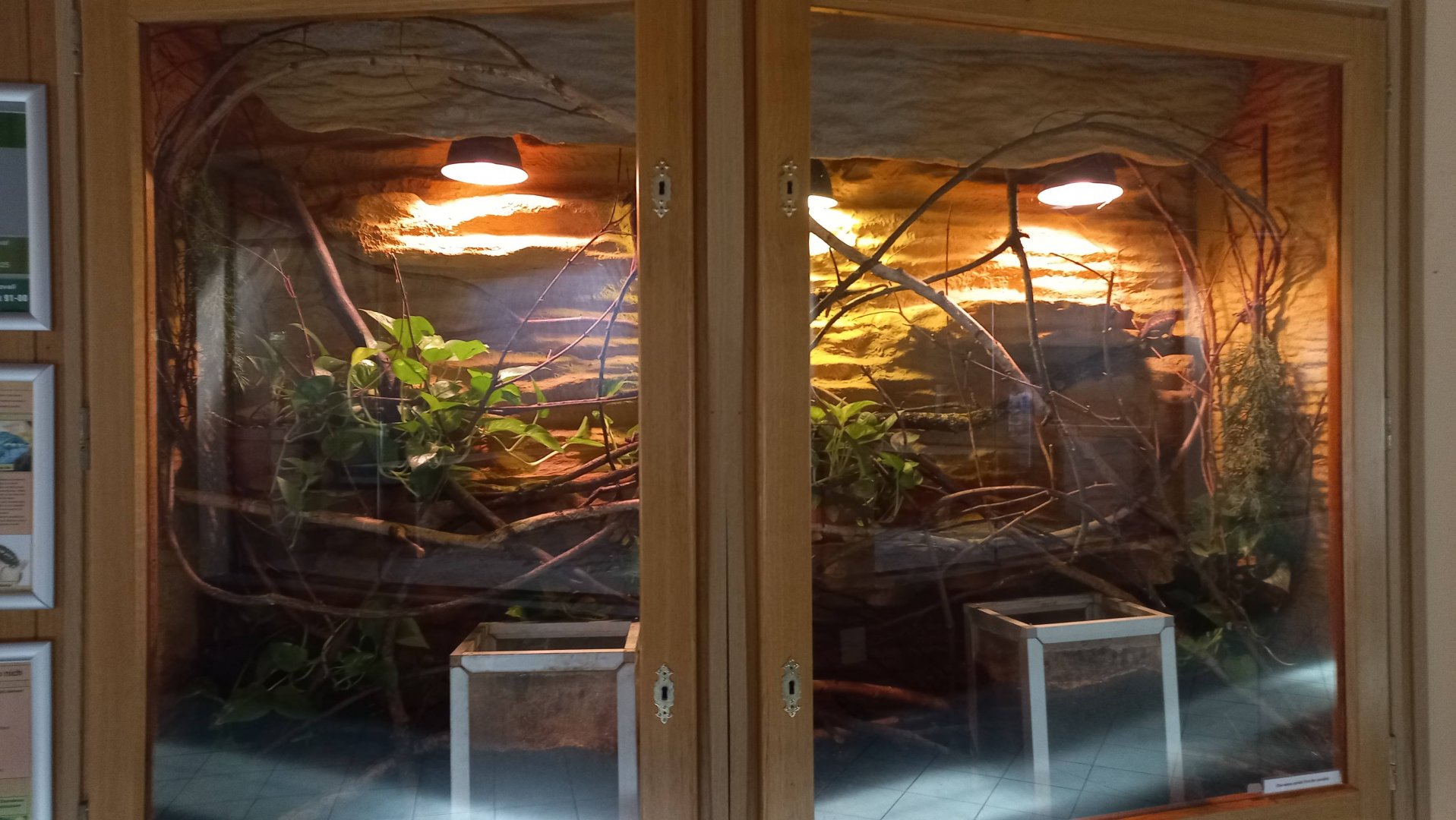 Terrarium in carnivore house