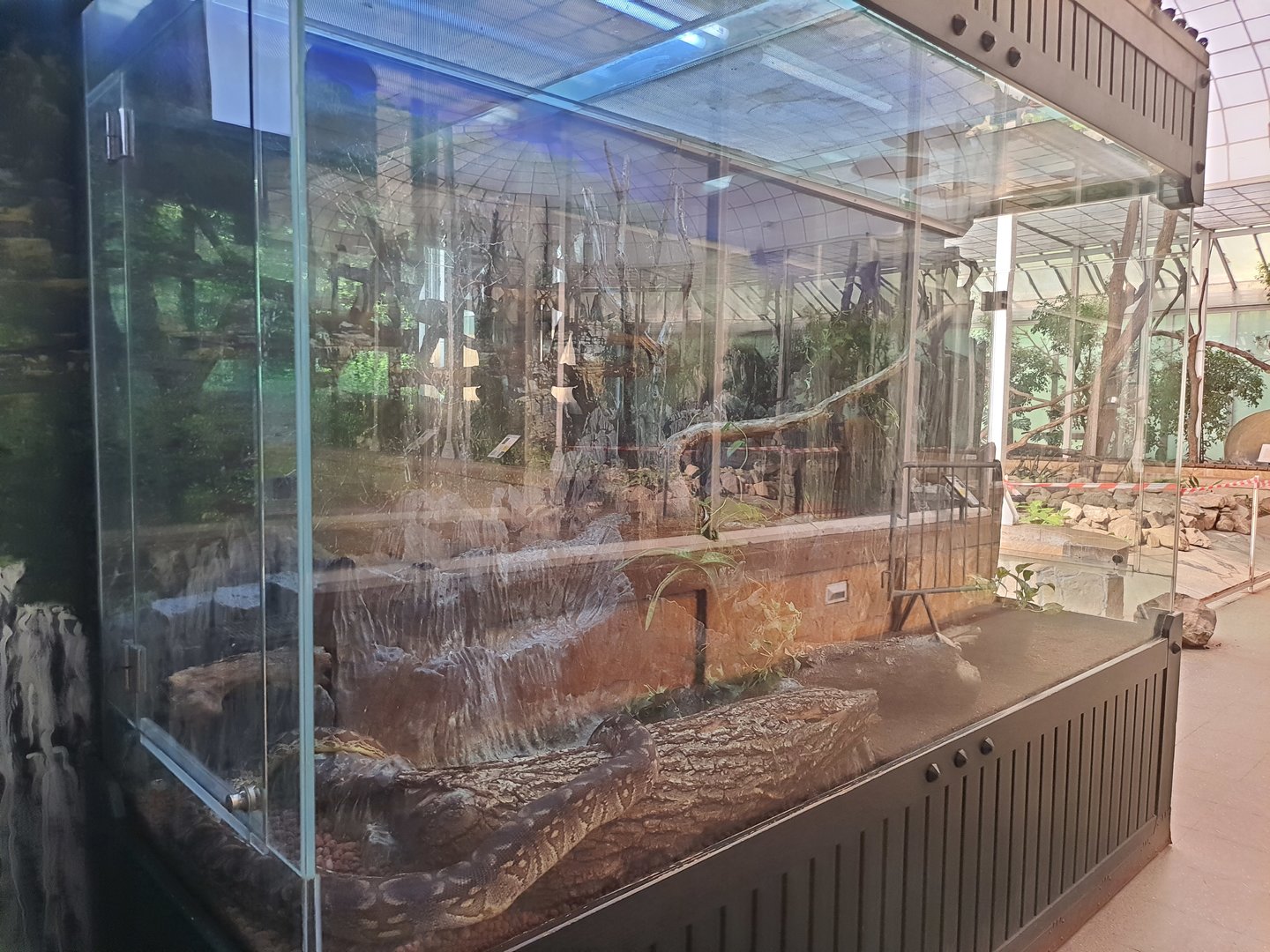 Terrarium in Madagascar House