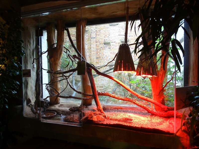 Terrarium in Monkey House