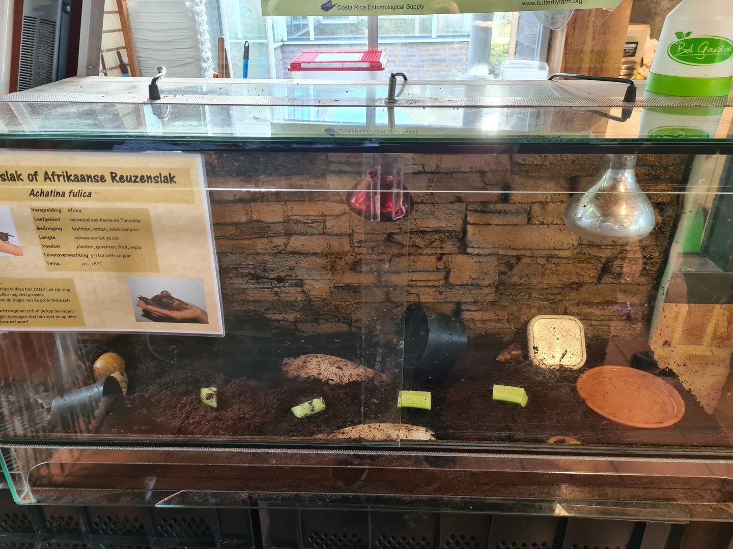 Terrarium in the entrance building