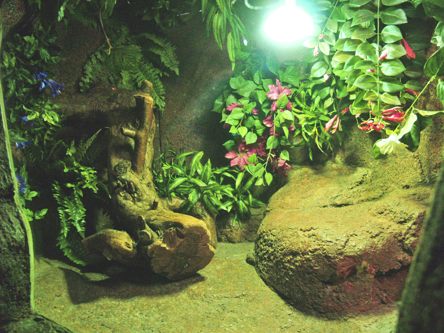 Terrarium (Inhabitants unknown), 2009-04-14