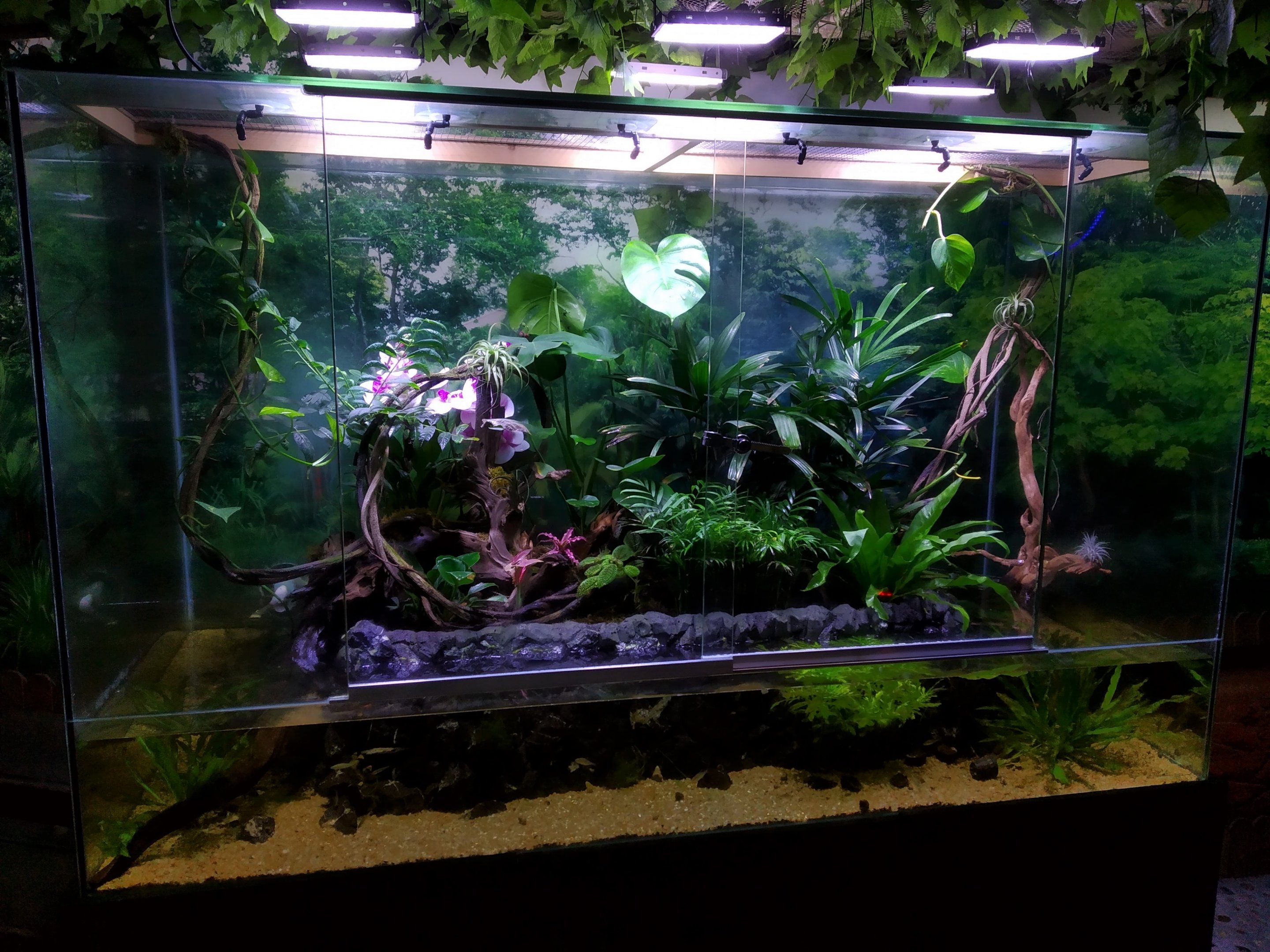 Terrarium (Inhabitants Unseen)