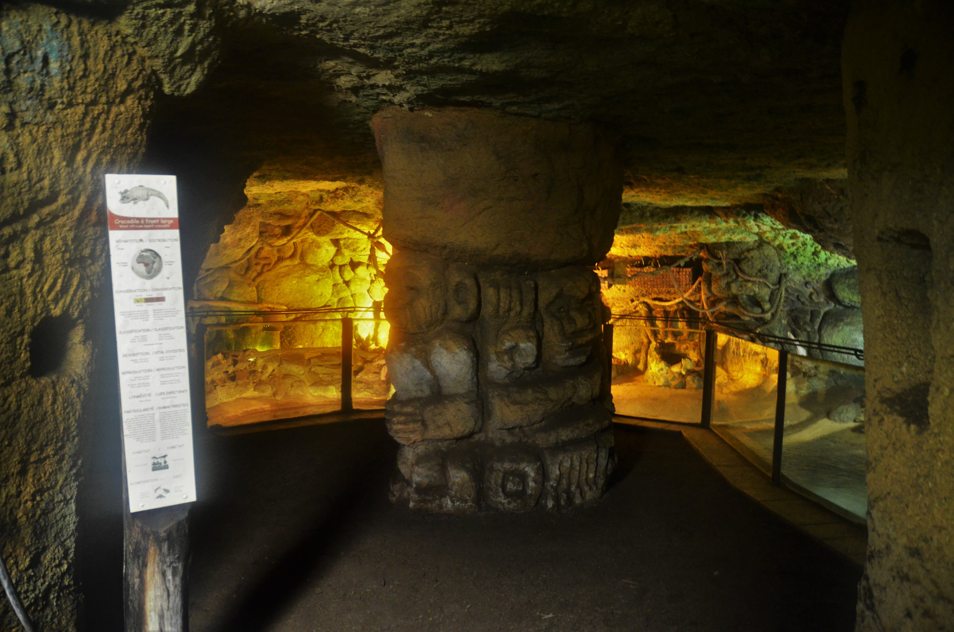 Terrarium Interior and West African Dwarf Crocodile Enclosure at Doué-la-Fontaine, 15/06/18