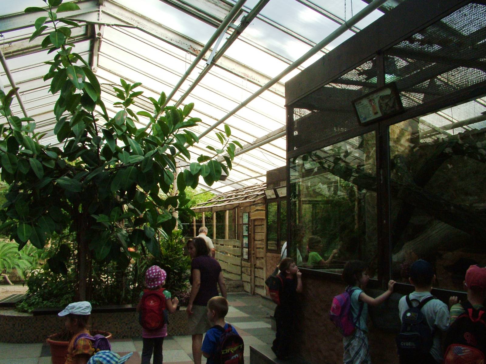 Terrarium Interior at Dresden, 29/08/12