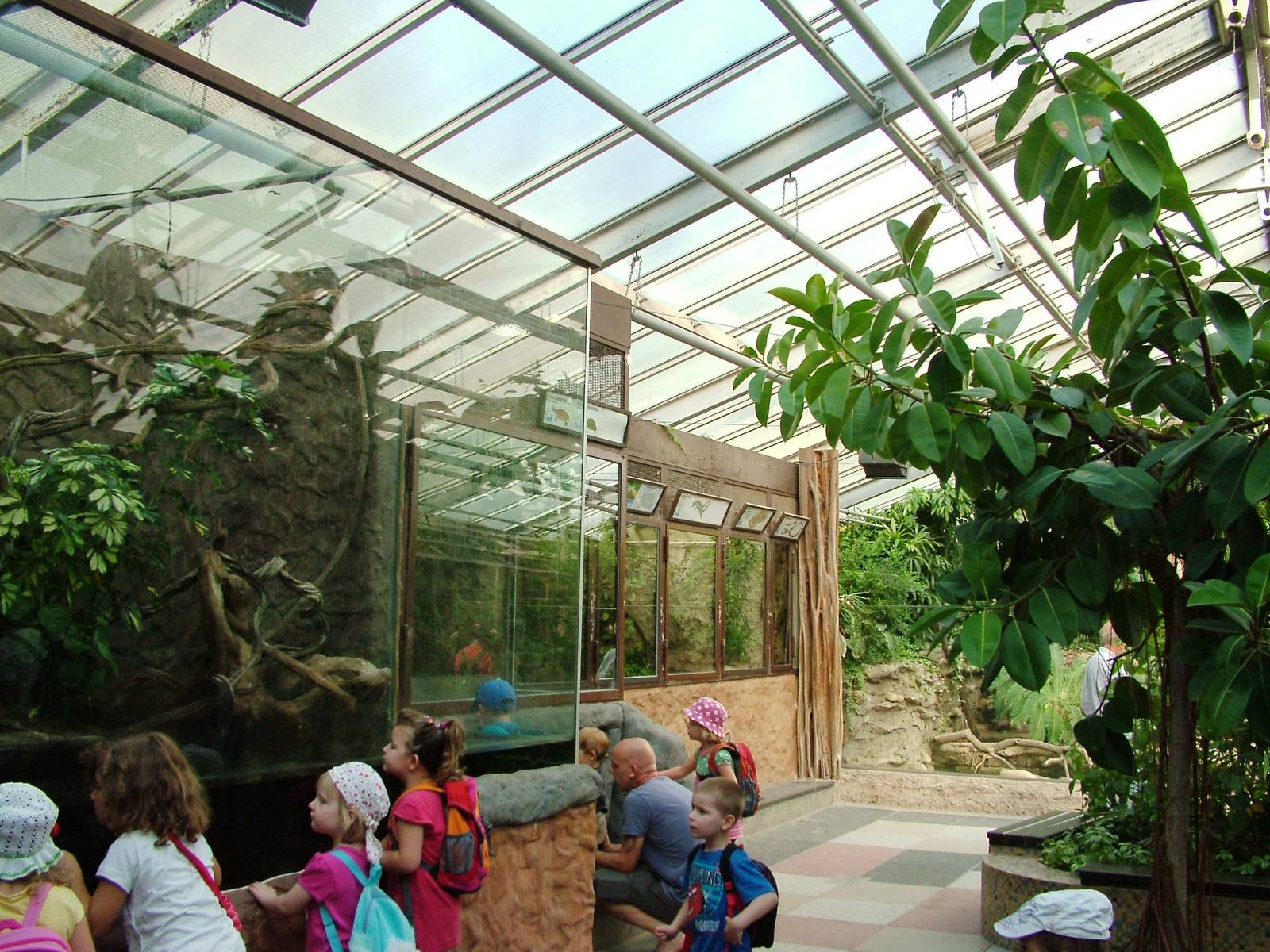 Terrarium Interior at Dresden, 29/08/12