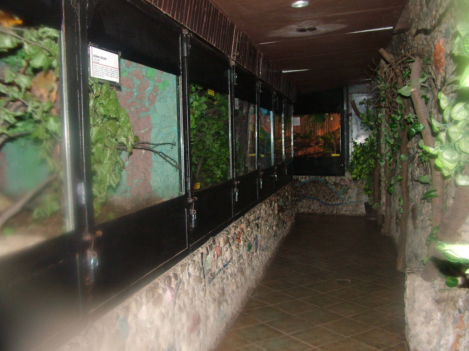 Terrarium interior at Krakow 08/09/2008