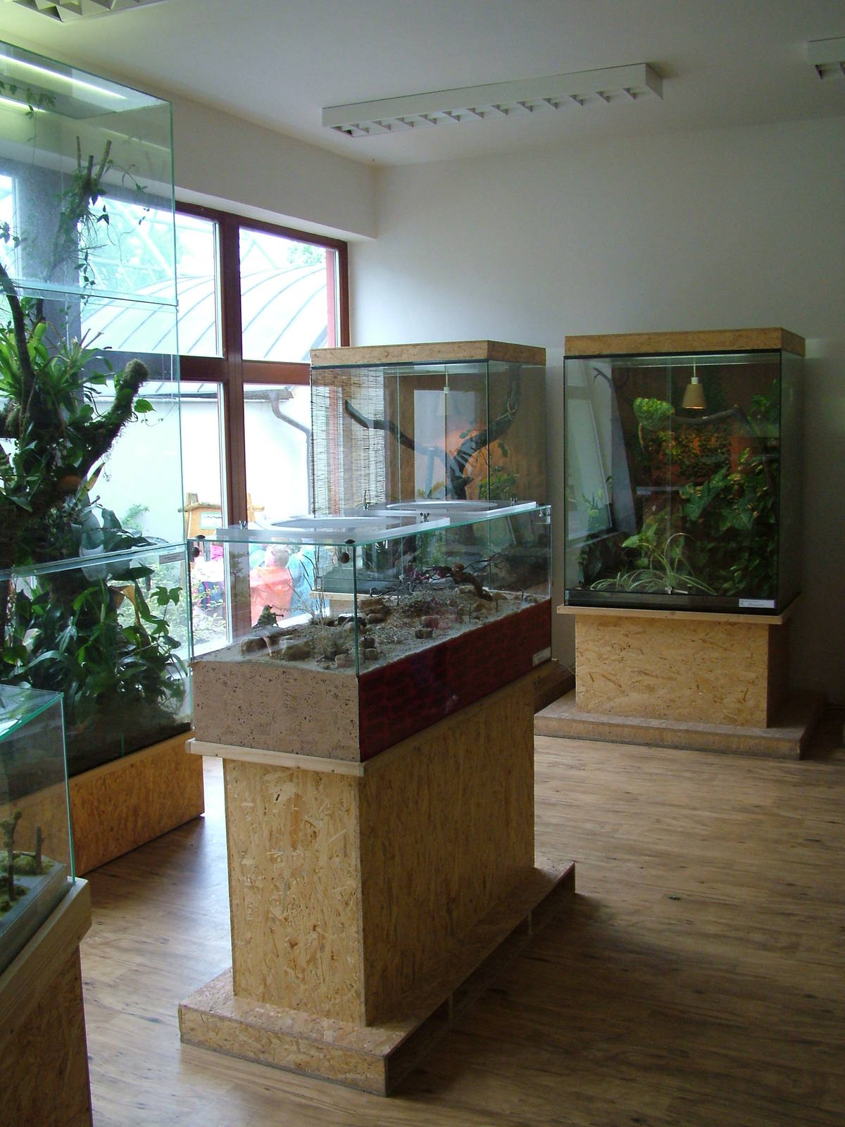 Terrarium interior at Ohrada, 26/05/10