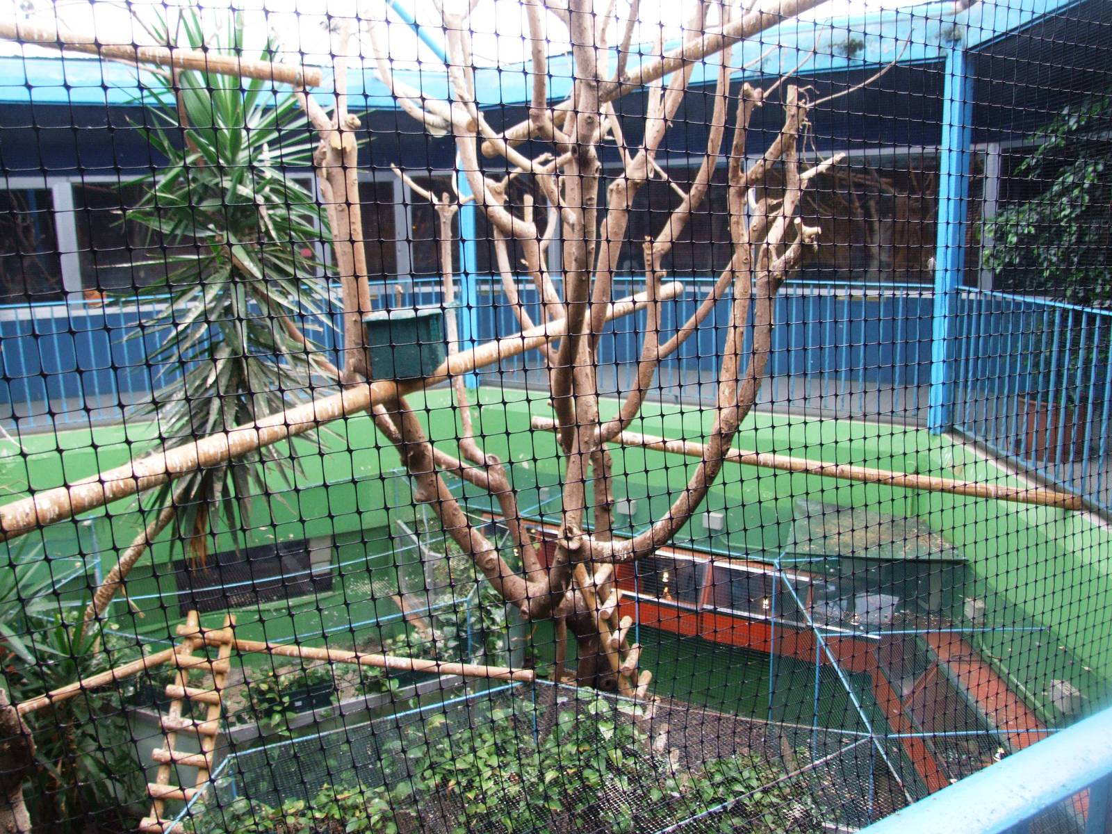 Terrarium Interior at Santillana del Mar, 13/06/15