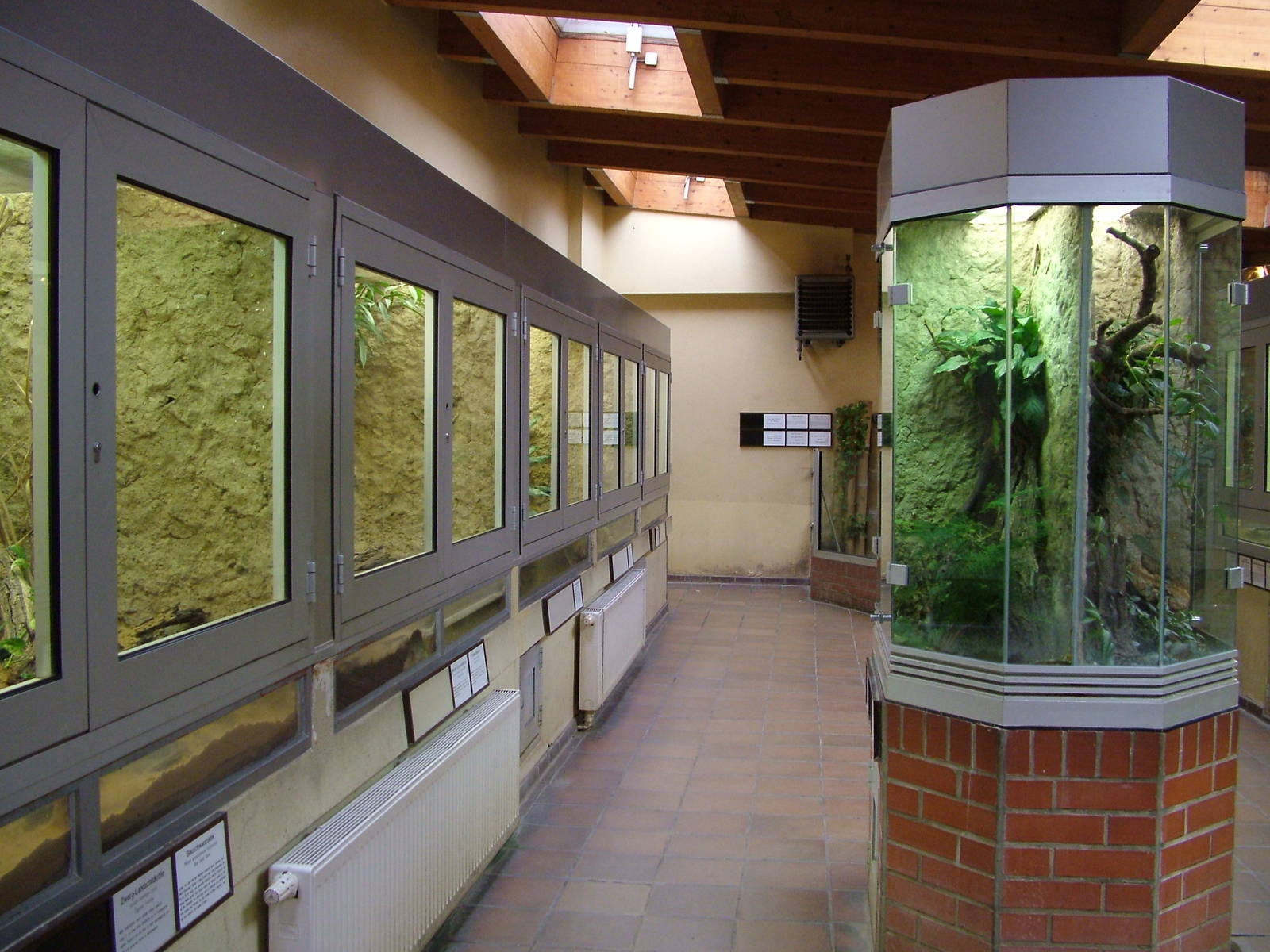 Terrarium Interior at Tierpark Berlin, 30/08/11