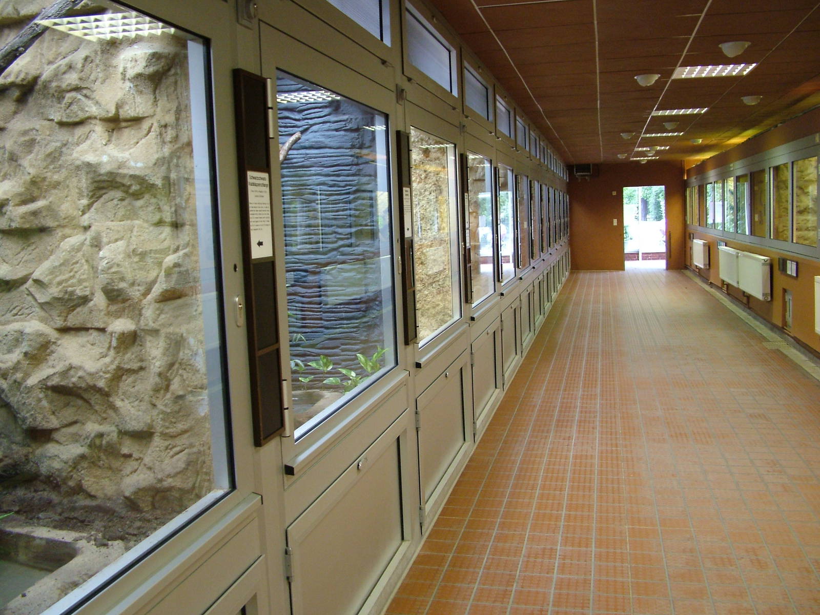 Terrarium Interior at Tierpark Berlin, 30/08/11