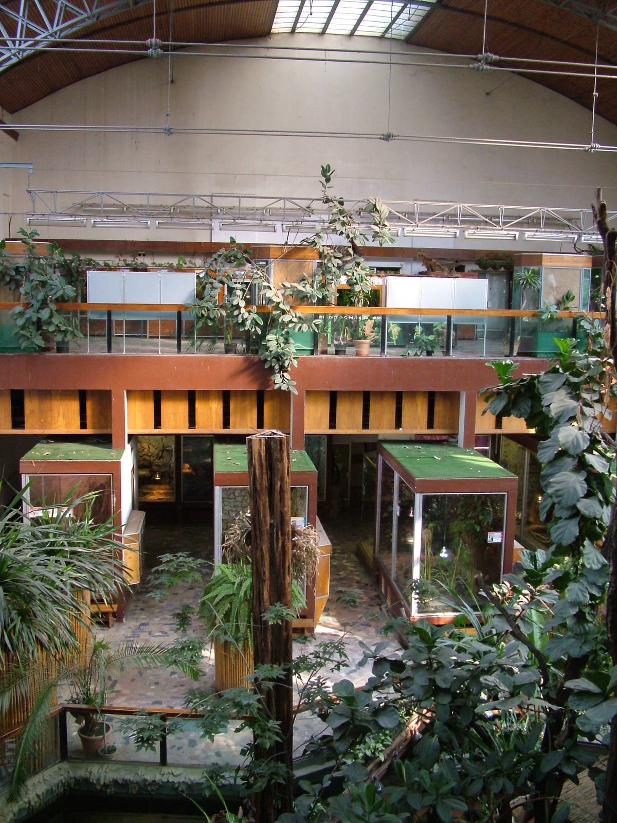 Terrarium interior at Wroclaw Zoo Sept 2008