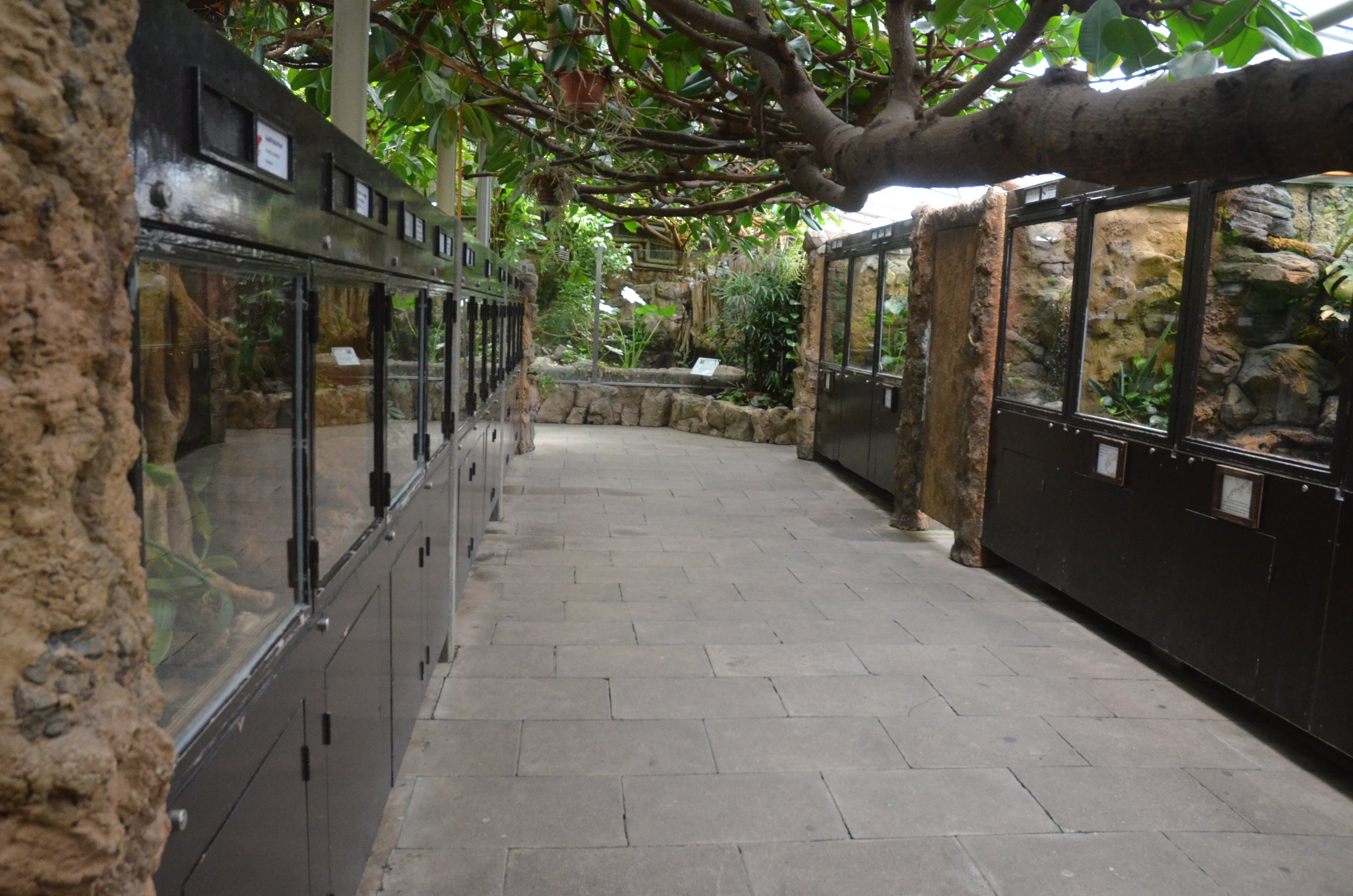 Terrarium Interior at Wuppertal, 16/06/19