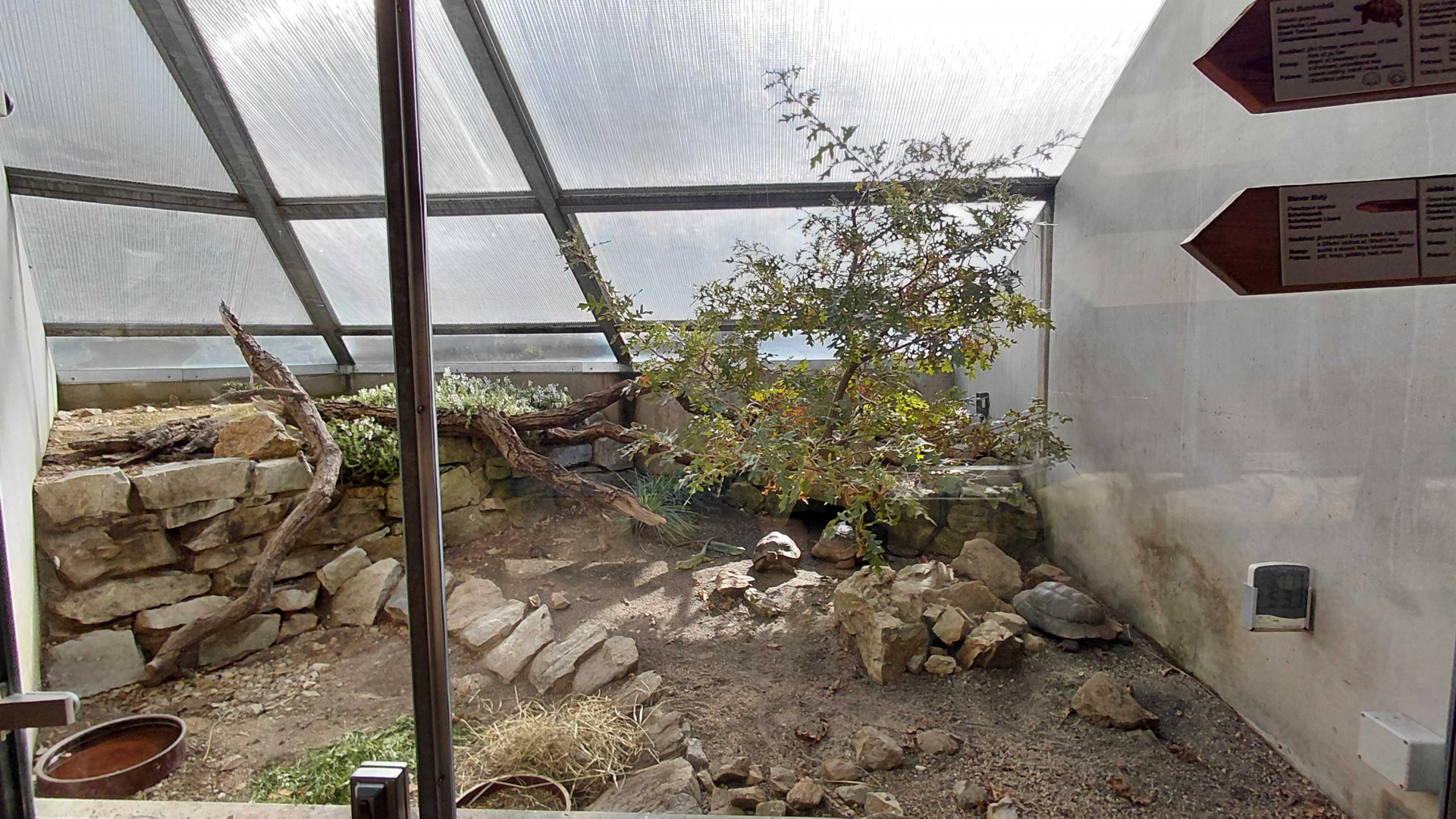 Terrarium - mixed reptile exhibit