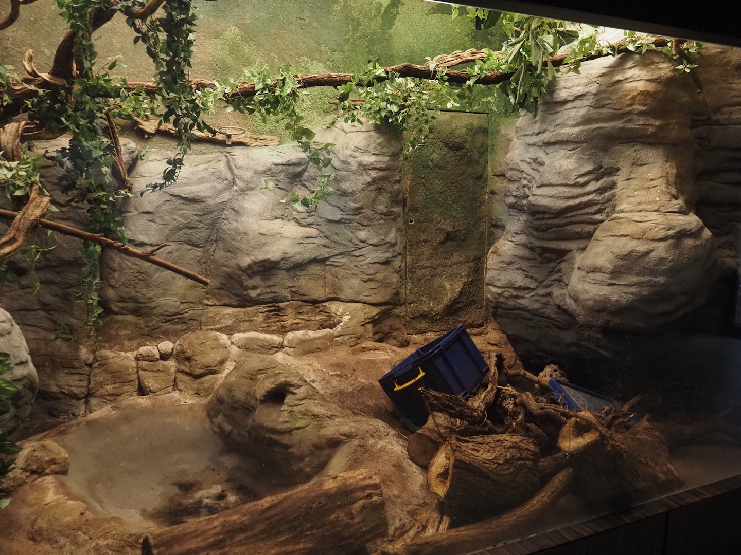 Terrarium opposite the Komodo dragon exhibit being renovated, 2025-11-30