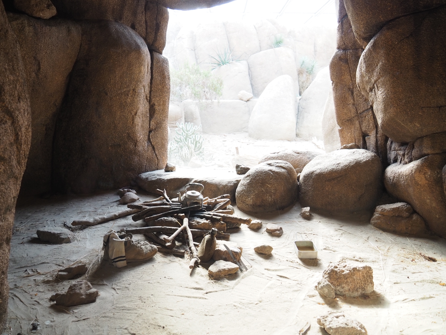 Terrarium red diamond rattlesnake (Sep 16th, 2018)