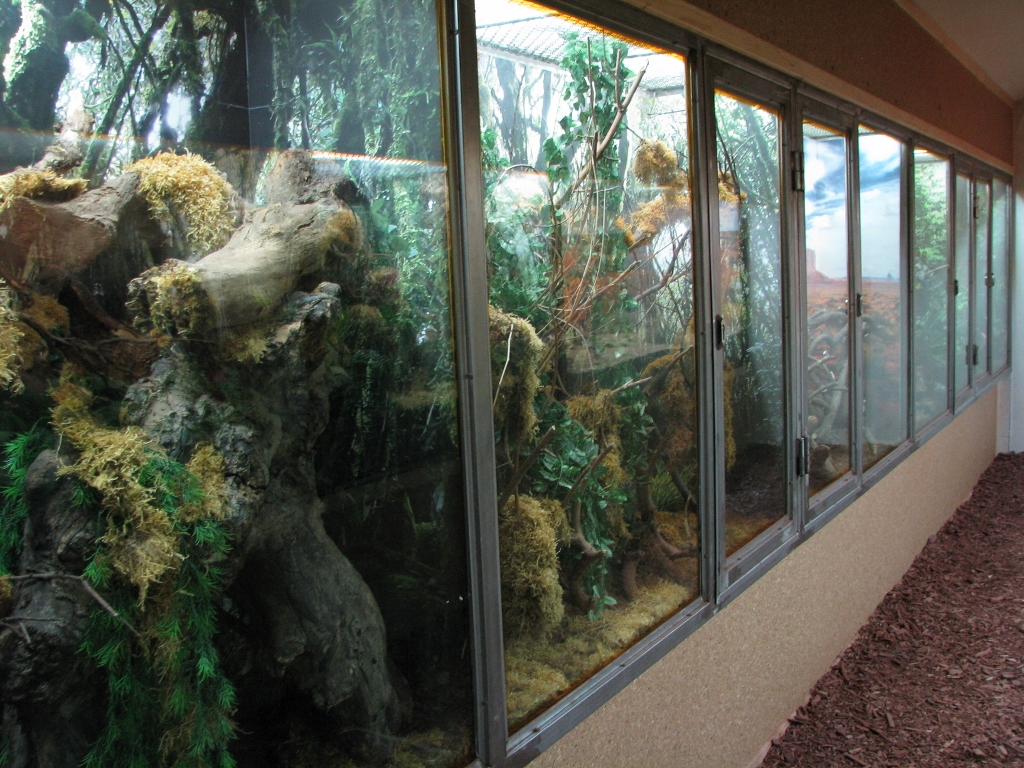 Terrarium Redecorated