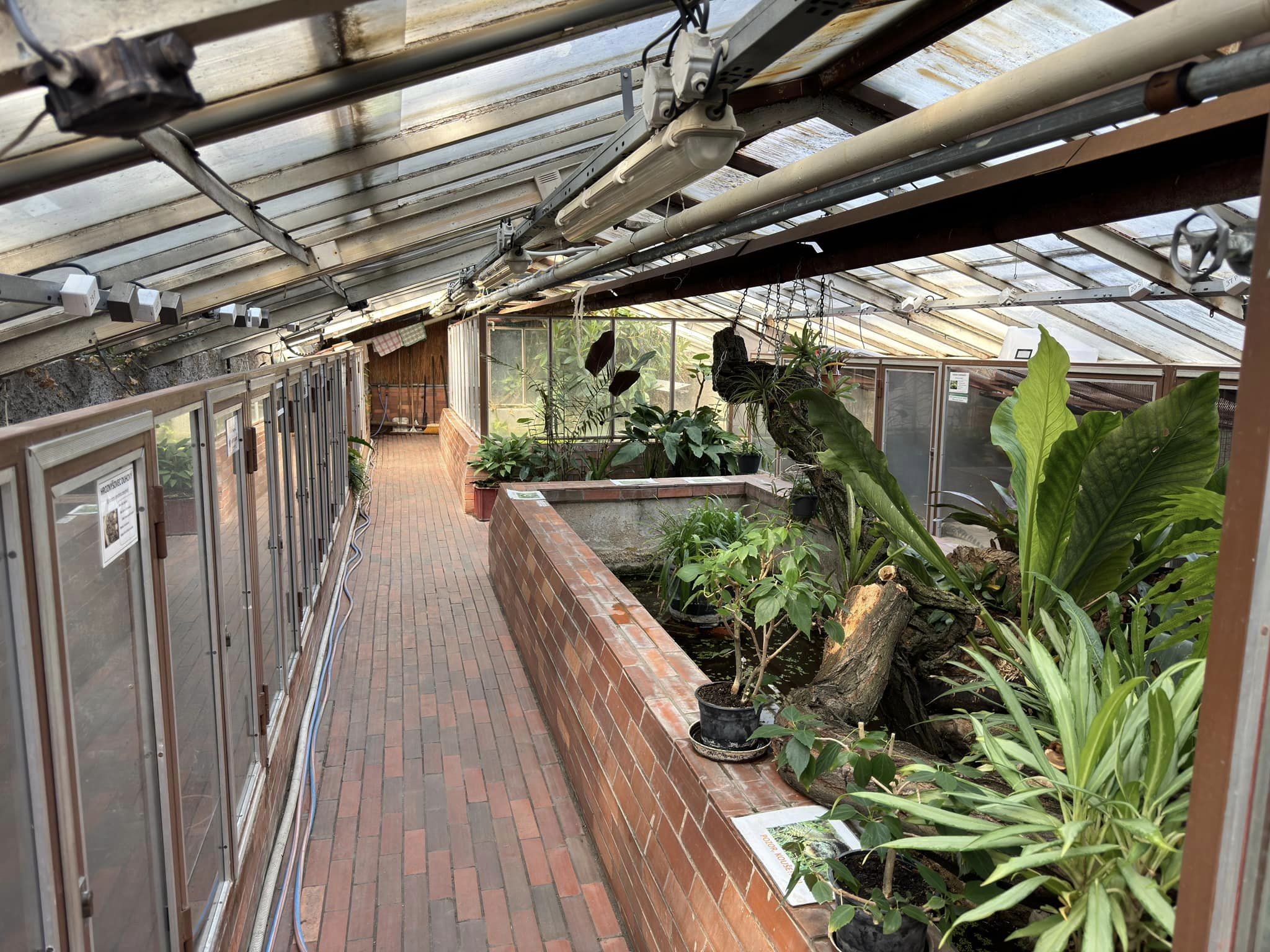 Terrarium room -  Stanice přírodovědců (Prague/Praha)