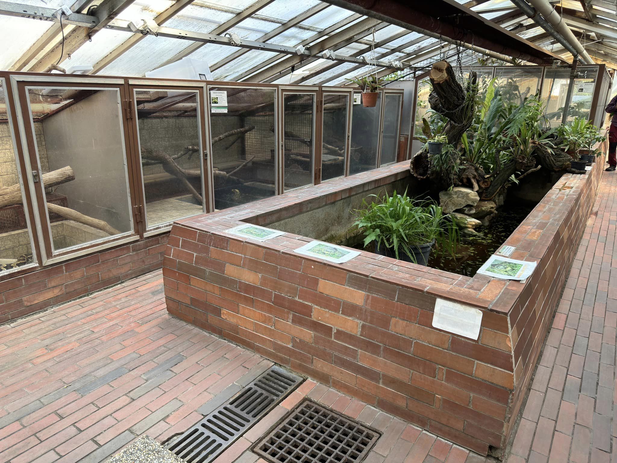 Terrarium room - Stanice přírodovědců (Prague/Praha)