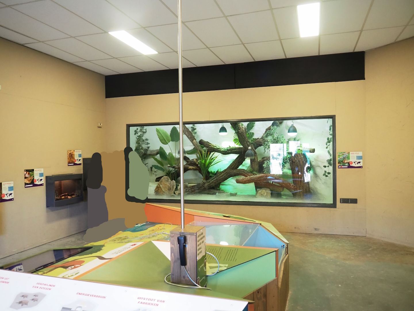 Terrarium room with reptiles, invertebrates and conservation education displays, 2023-04-30