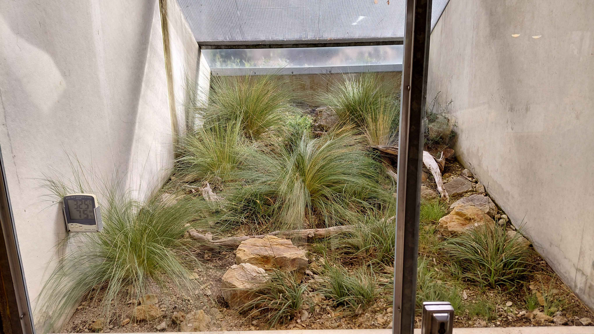 Terrarium - smooth snake exhibit