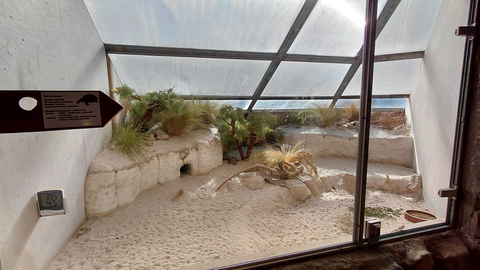 Terrarium - Tortoise + agama exhibit