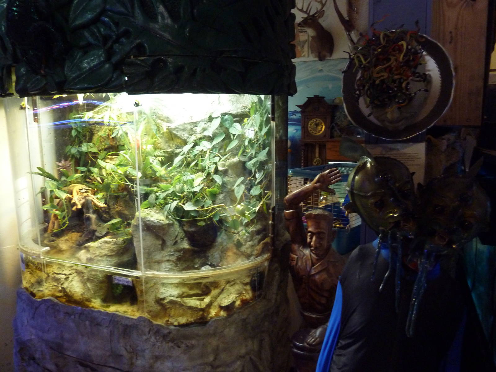 Terrarium + Two-Headed Monster