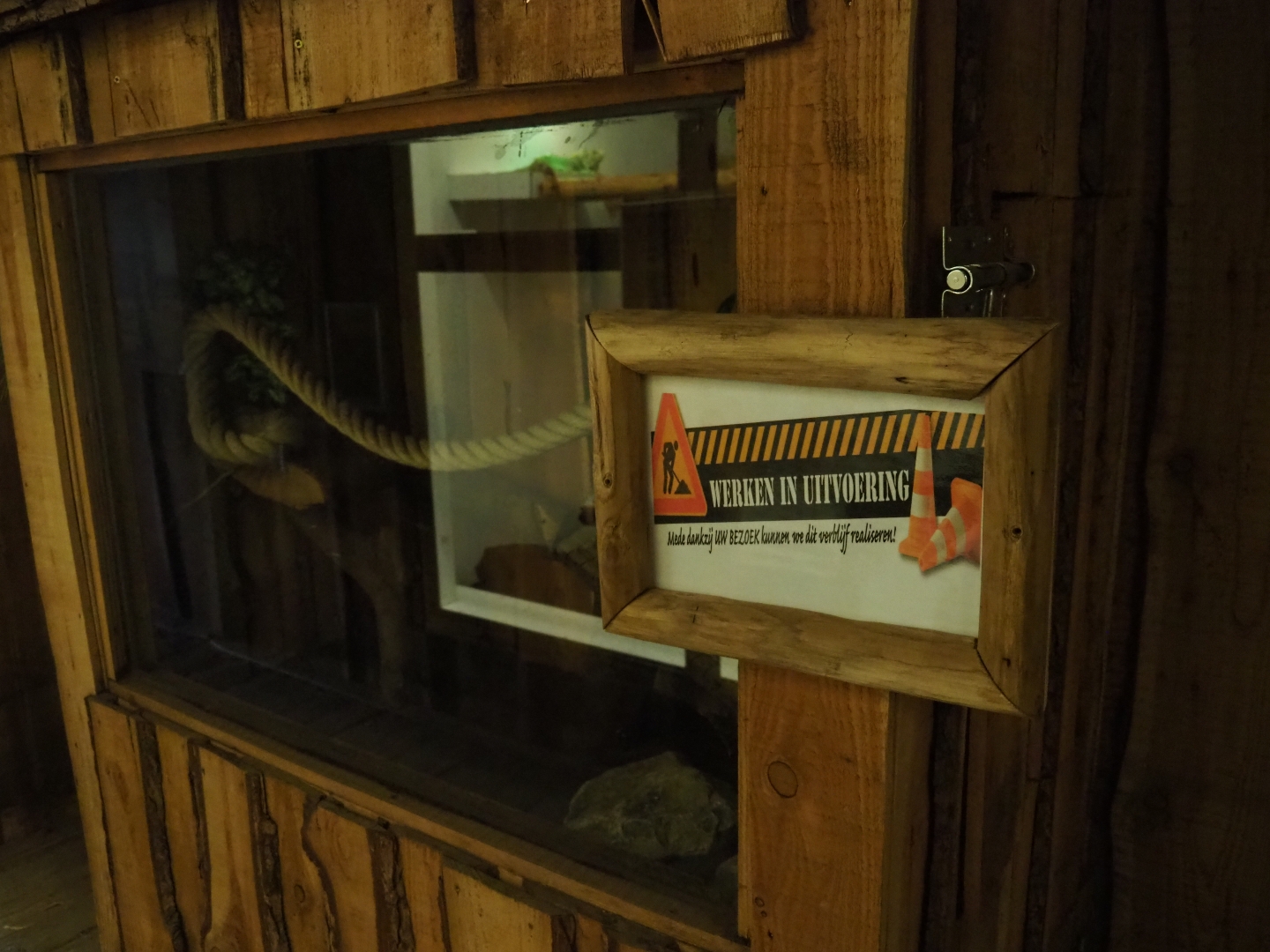 Terrarium under construction