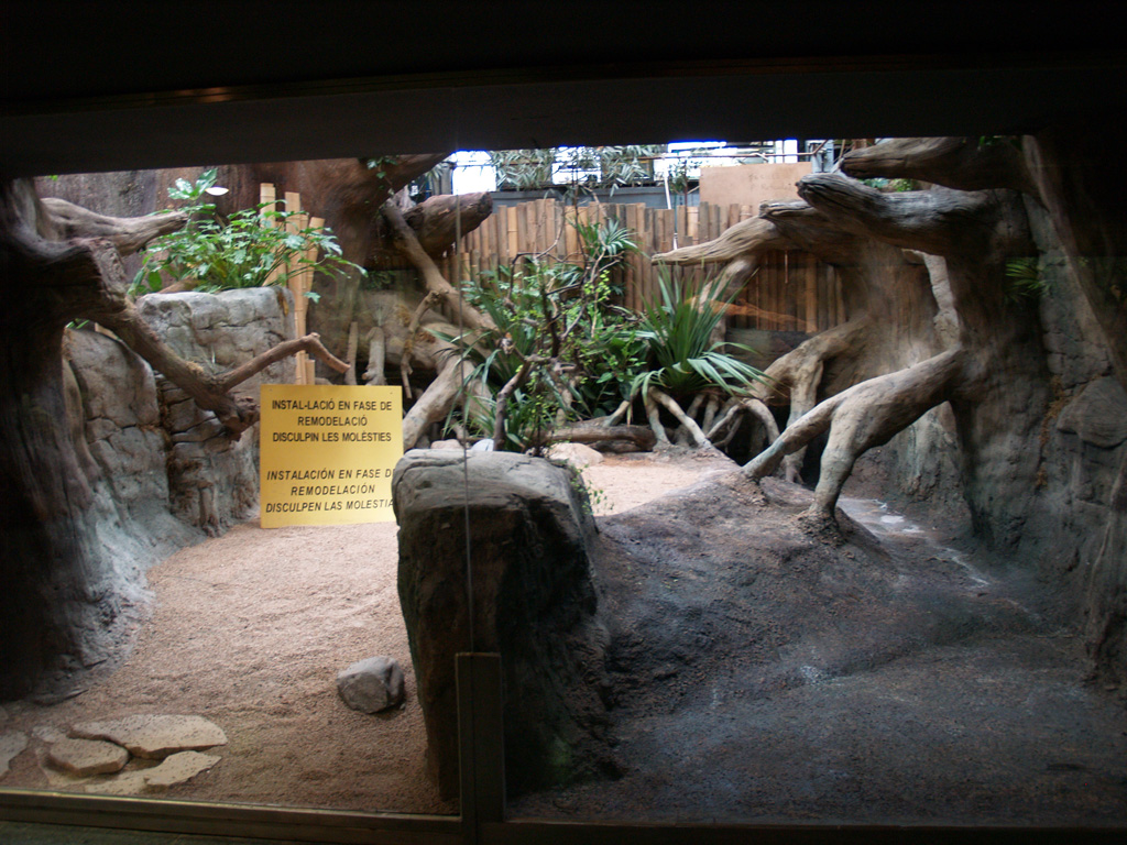 Terrarium - Zoo Barcelona