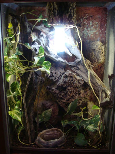 Terrarium
