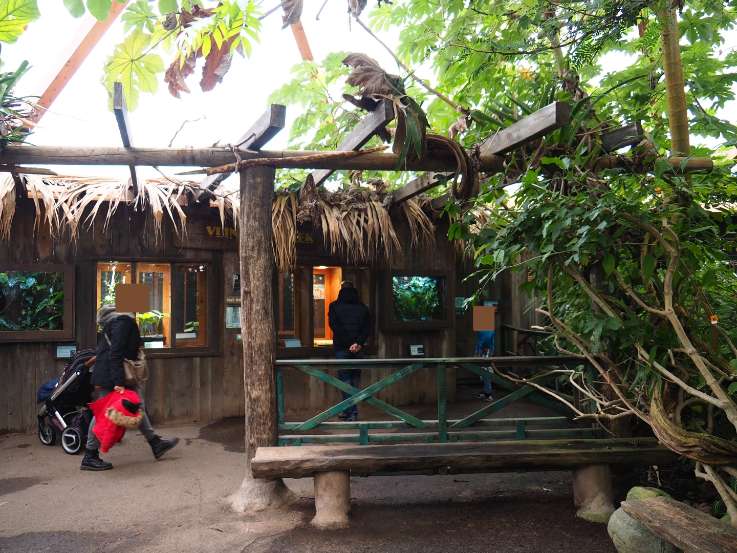 Terrariums and raising rooms area (Nov 10th, 2018)