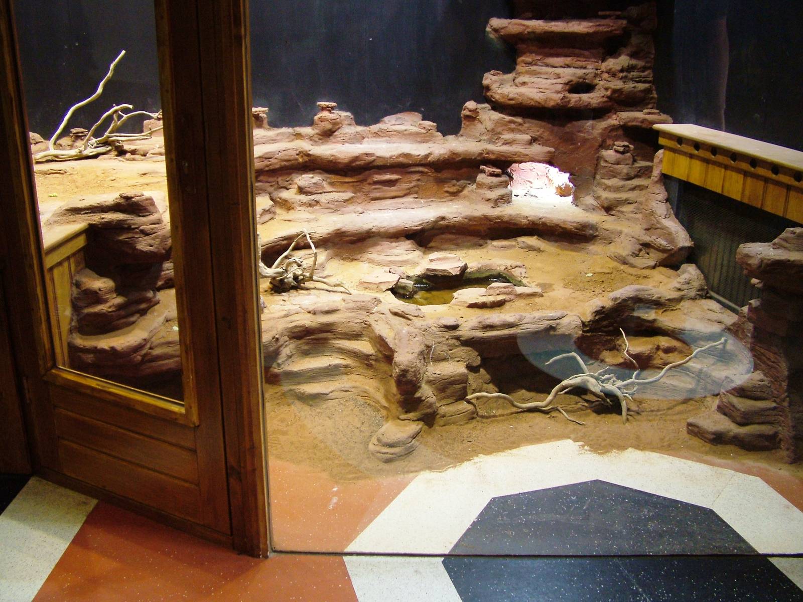 Terrariums at Amersfoort, 01/06/12