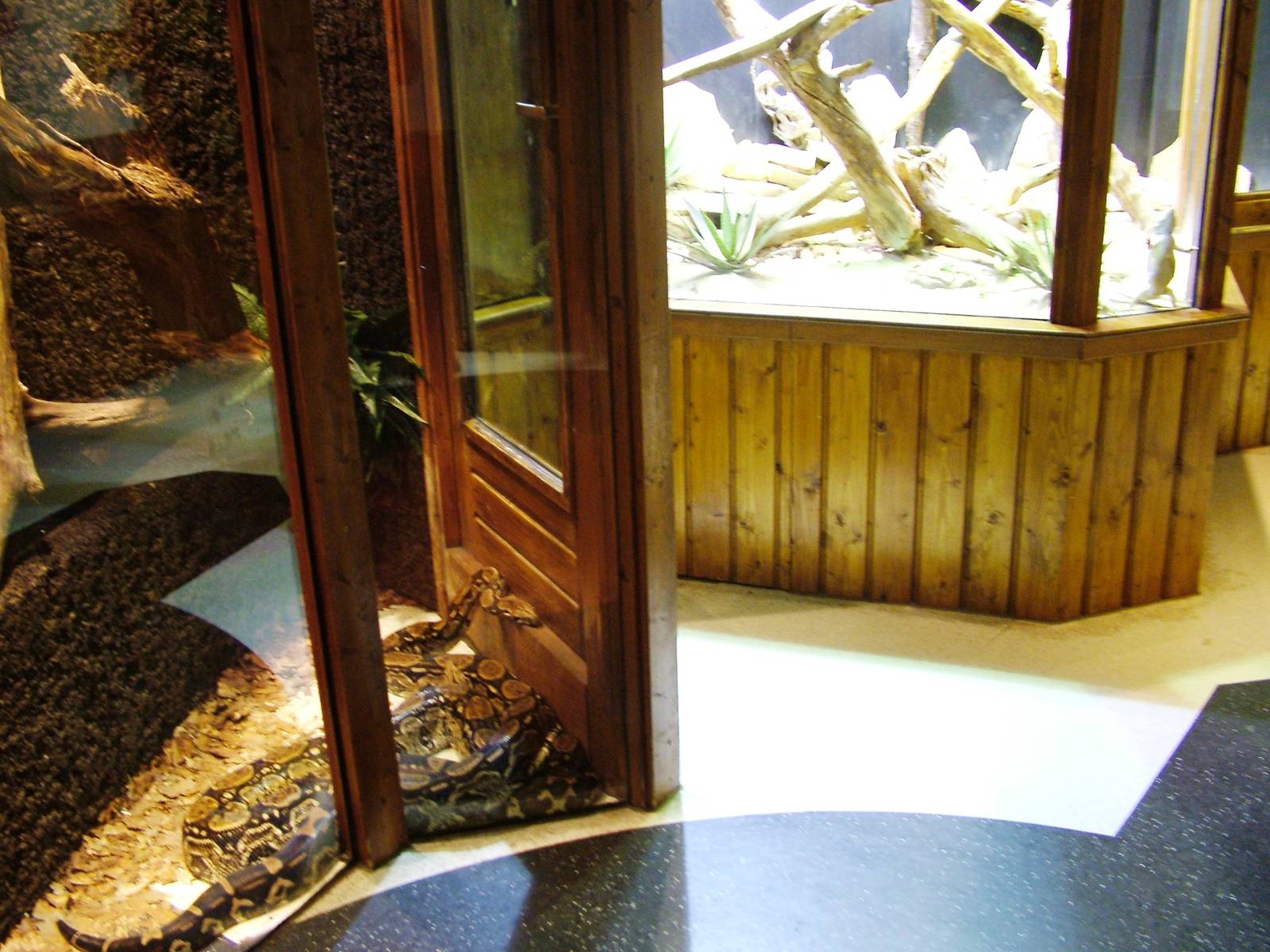 Terrariums at Amersfoort, 01/06/12