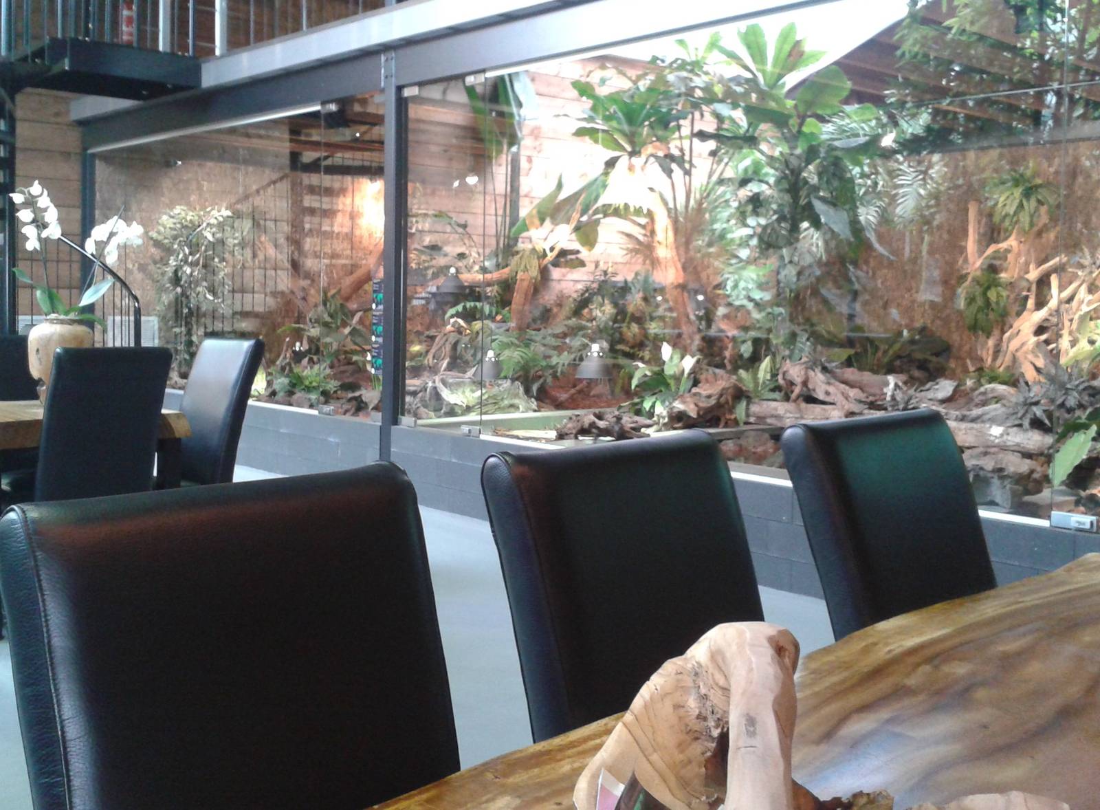 Terrariums at ground level