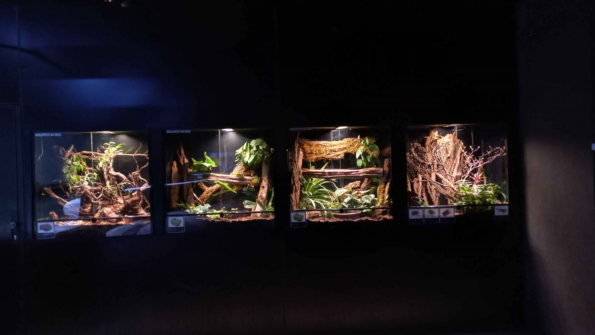 Terrariums at The Bay of rays