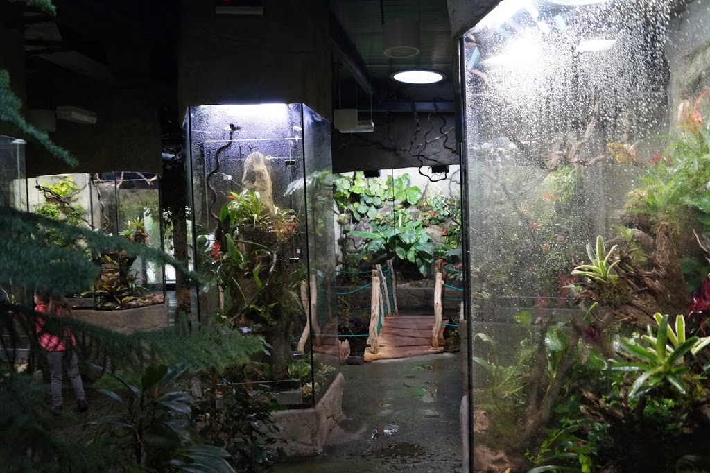 Terrariums built pavilion in amphibians