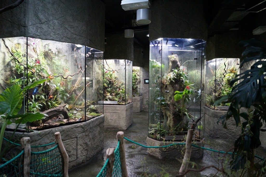 Terrariums built pavilion in amphibians