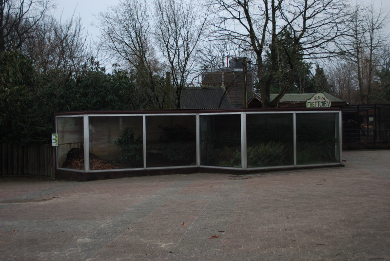 Terrariums for native reptiles