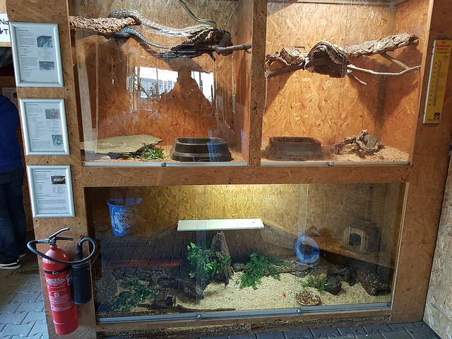 Terrariums for small animals