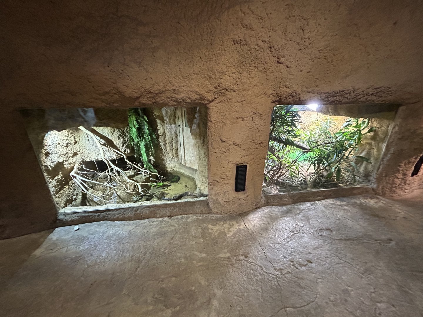 Terrariums - House of Evolution