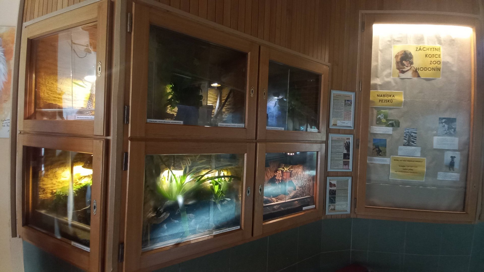 Terrariums in carnivore house