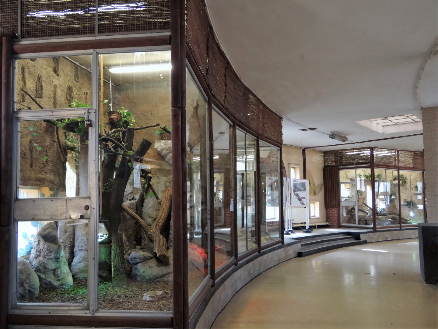 Terrariums in Elephant House