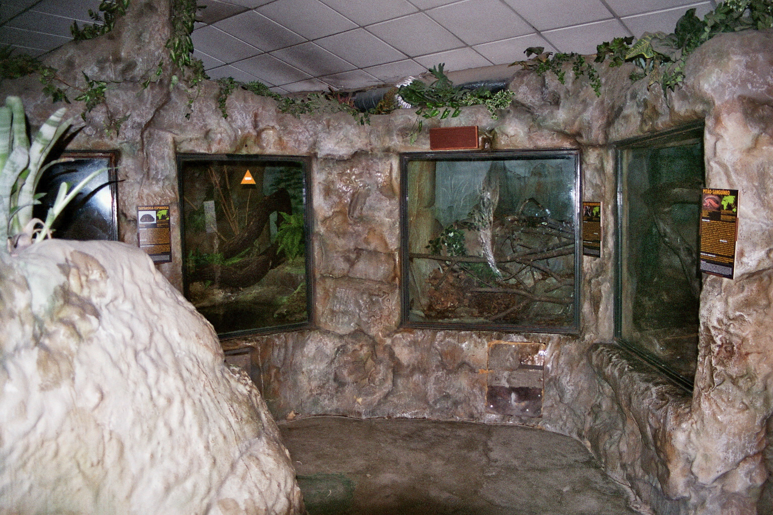 Terrariums in Reptile House