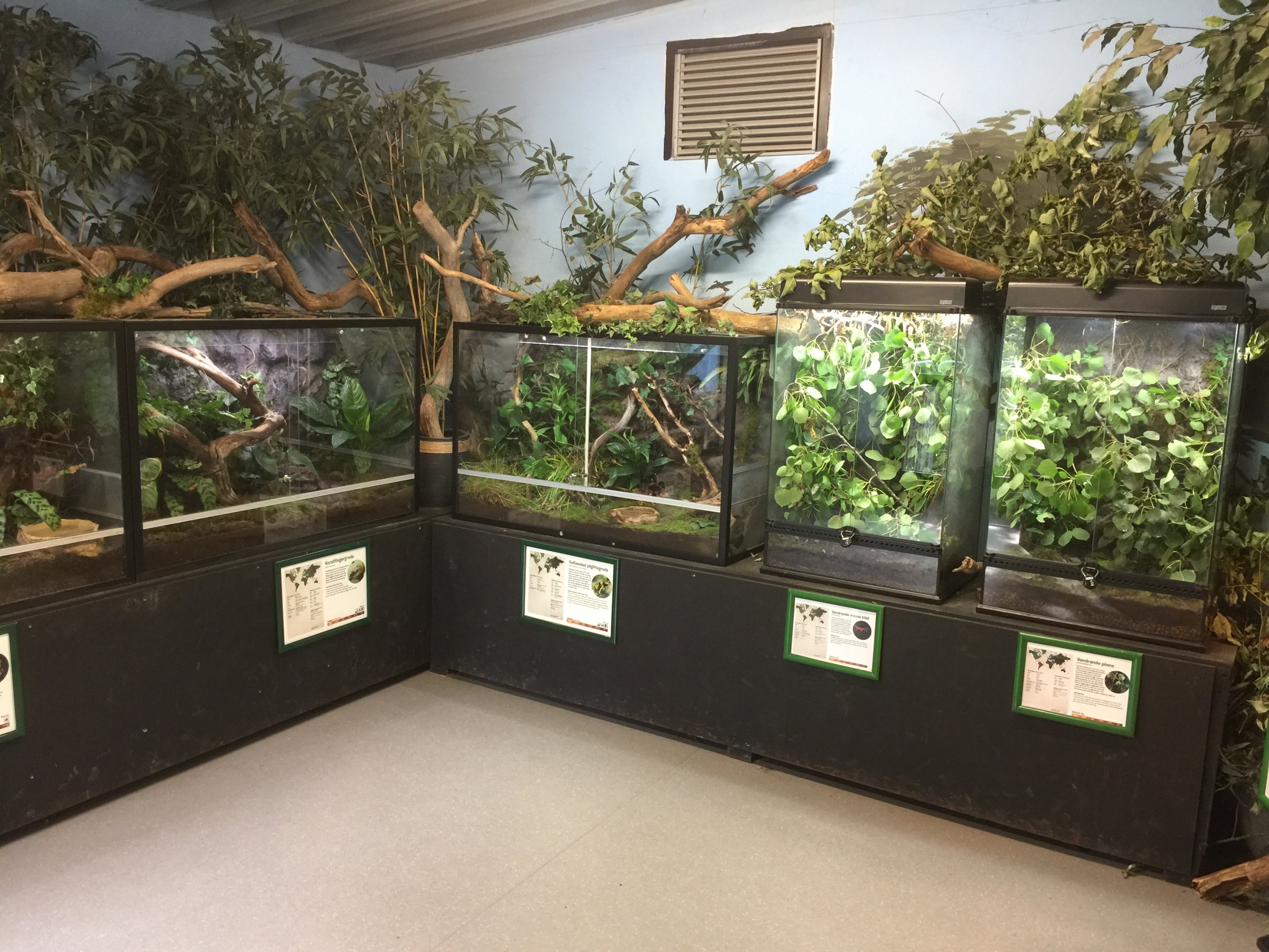 Terrariums in the gibbon house.