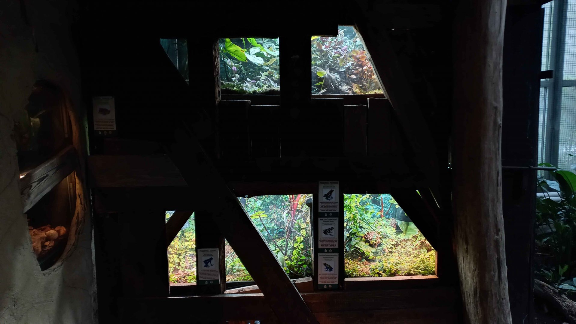 Terrariums in the tropical house
