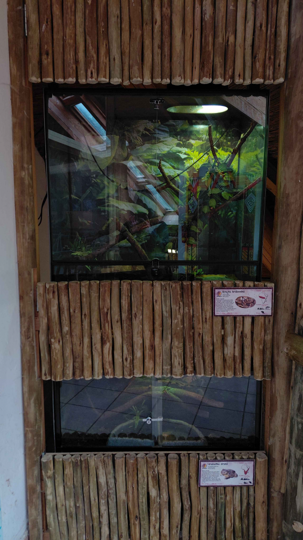 Terrariums inside the giraffe house